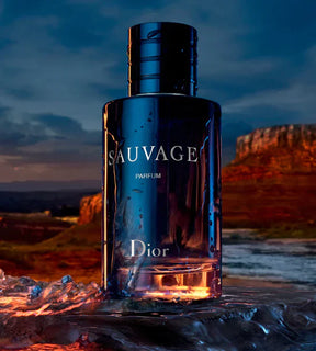 3 Perfumes Masculinos Importados (100ml) - 1 Million | 212 VIP BLACK | Sauvage Dior |